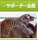 草津熱帯圏　サポーター